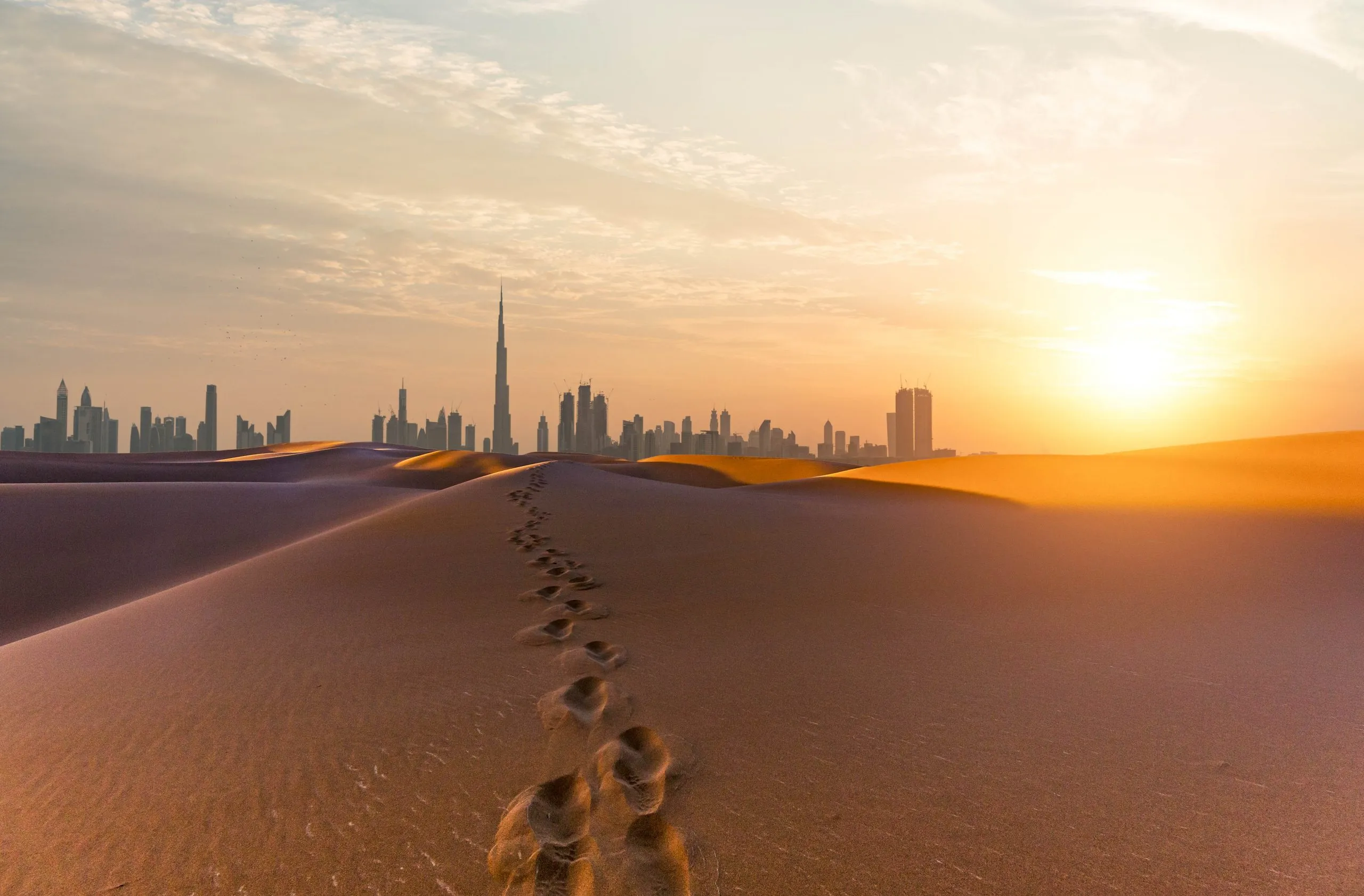 Desert Safari